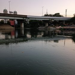 久しぶりのタナゴ釣り