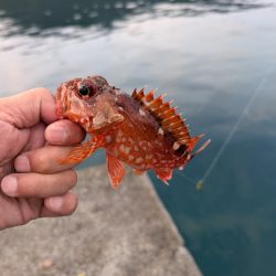 陸っぱり釣行記