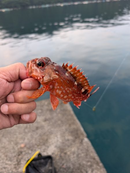 陸っぱり釣行記