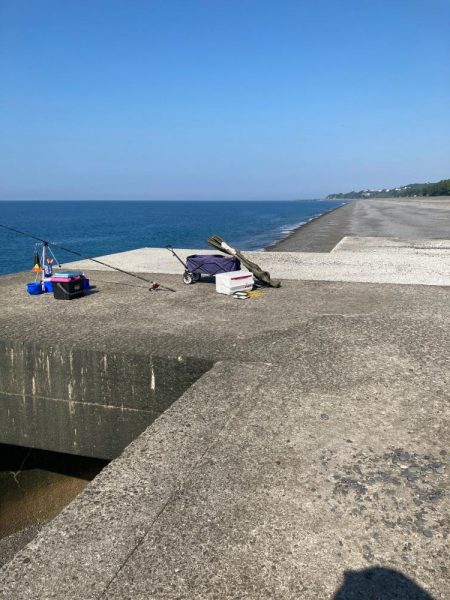 琴ヶ浜　コショウダイ