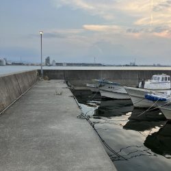 たかたか釣り日記