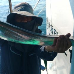 泉州丸　釣果