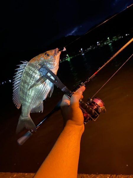 アジ…ング？釣査