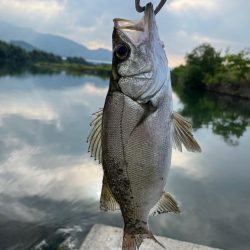 朝も早よから