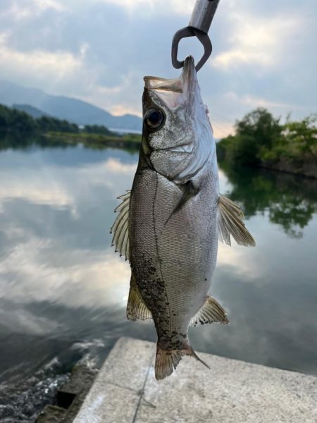 朝も早よから