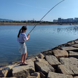 子供の夏休み