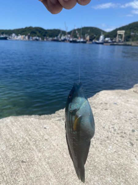 家島フカセ釣り