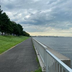 つばさ公園ハゼ釣り