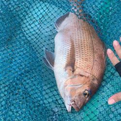 待ちに待ったカセ釣りへ🎣