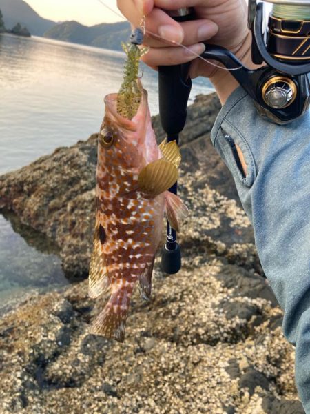 久々の天草釣行