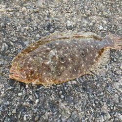 久しぶりの海釣りで