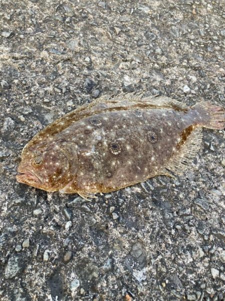 久しぶりの海釣りで