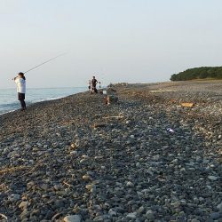 初場所にて