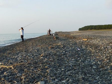 初場所にて