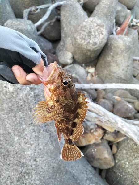 高知・徳島遠征1日目