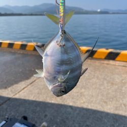 初魚種ゲット