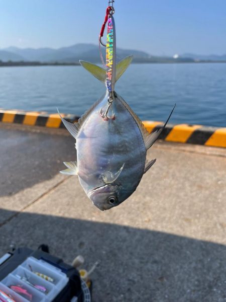 初魚種ゲット