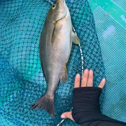 待ちに待ったカセ釣りへ🎣