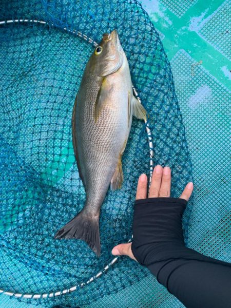 待ちに待ったカセ釣りへ🎣