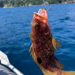 真夏のアマダイ釣行！