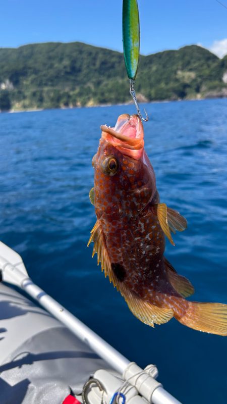 真夏のアマダイ釣行！