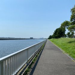 東京湾ハゼ釣り