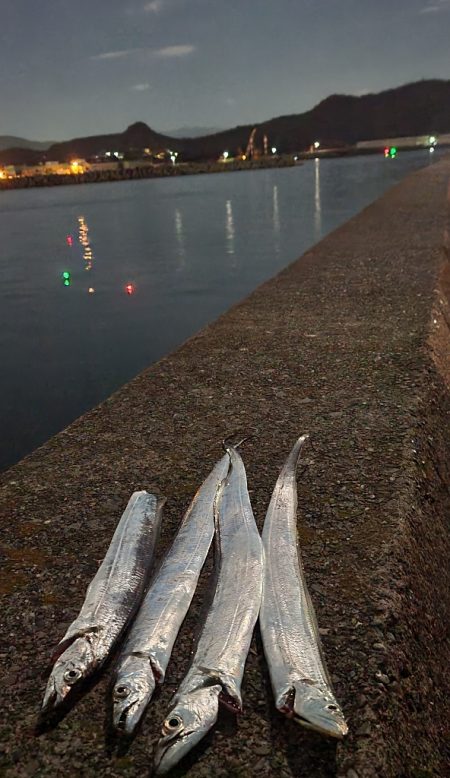 とにかく明るく快適な夜釣