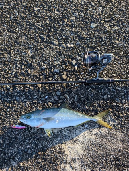 陸っぱり釣行記