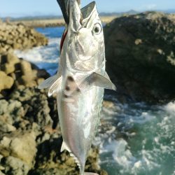 串本遠征釣行2日目