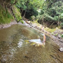 シーズンラストとなるので気合い入れて攻めた