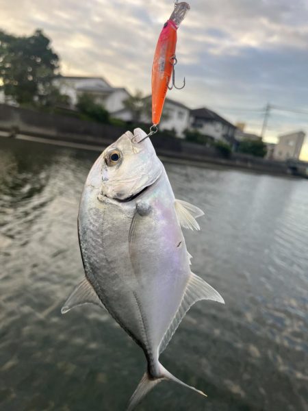 大分住吉川でメッキゲーム