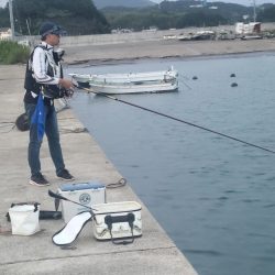 和歌山　南部堺の堤防で夜釣り釣り