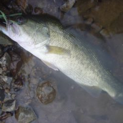 風が強く