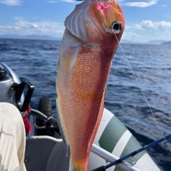 マイボートでアマダイ釣り