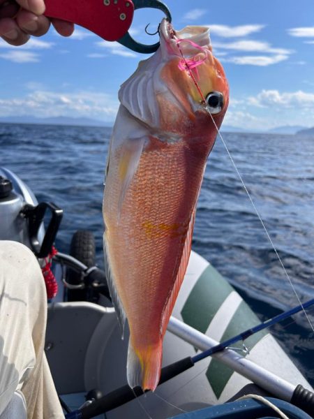 マイボートでアマダイ釣り