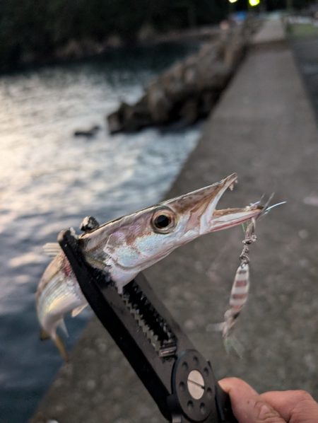 陸っぱり釣行記