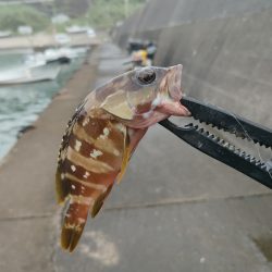 秋の連休遠征釣行初日