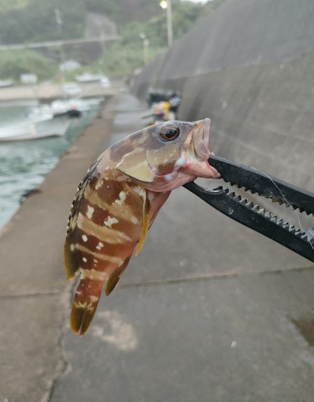 秋の連休遠征釣行初日