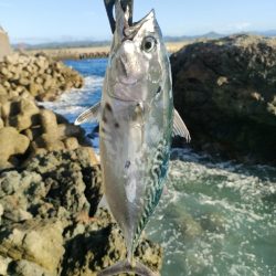 串本遠征釣行2日目