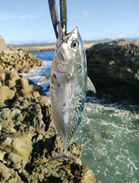 串本遠征釣行2日目