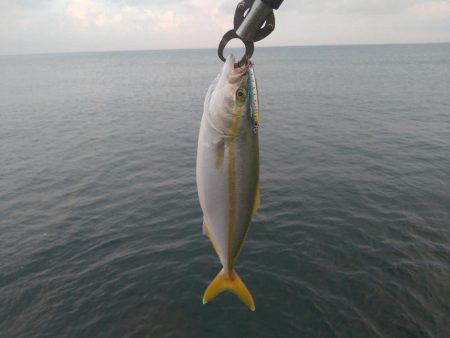 休日の越前海岸