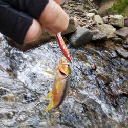 シーズンラストとなるので気合い入れて攻めた