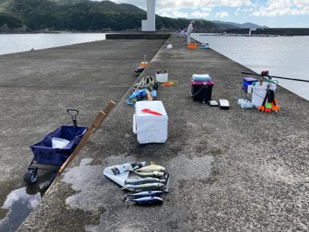 サメで釣り中止