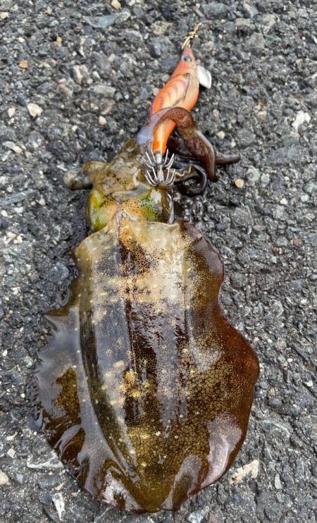 大荒れの後爆の予感！