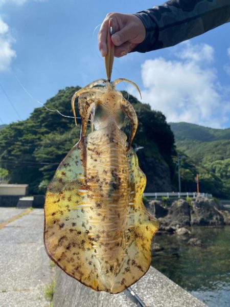 釣りシーズン開幕！