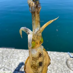 雨の合間に