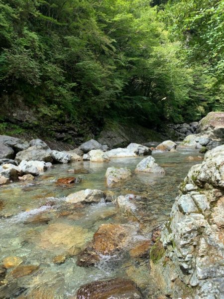 最後の渓流