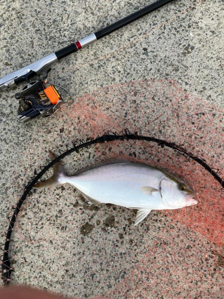 エビ撒き釣り