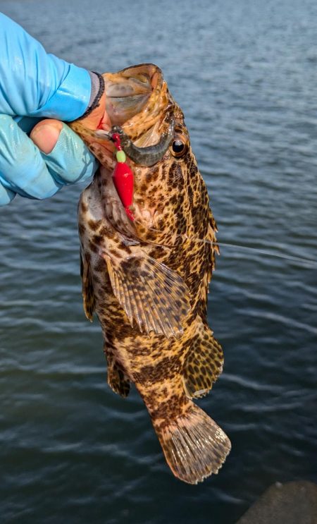 久々の穴釣り