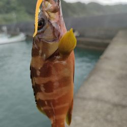 秋の連休遠征釣行初日